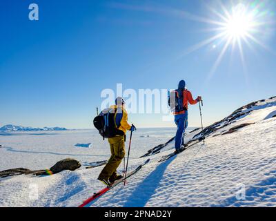 Ski alpiniste sur le ski, pack glace, Tasiilaq, Ammassalik Island, Kommuneqarfik Sermersoq, Groenland oriental, Groenland Banque D'Images