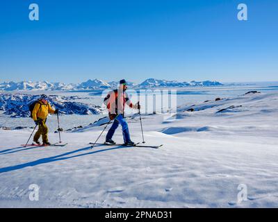 Ski alpiniste sur le ski, pack glace, Tasiilaq, Ammassalik Island, Kommuneqarfik Sermersoq, Groenland oriental, Groenland Banque D'Images