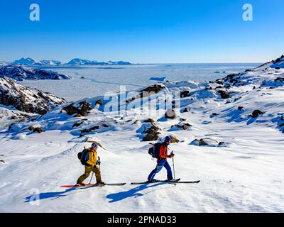 Ski alpiniste sur le ski, pack glace, Tasiilaq, Ammassalik Island, Kommuneqarfik Sermersoq, Groenland oriental, Groenland Banque D'Images