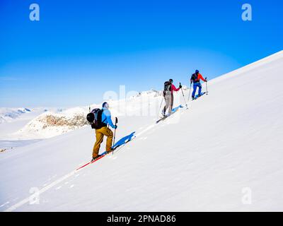 Ski alpiniste sur le ski, Tasiilaq, île d'Ammassalik, Kommuneqarfik Sermersoq, est du Groenland, Groenland Banque D'Images