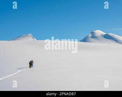 Ski alpiniste sur le ski, Tasiilaq, île d'Ammassalik, Kommuneqarfik Sermersoq, est du Groenland, Groenland Banque D'Images