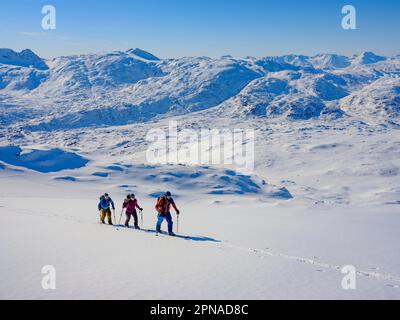 Ski alpiniste sur le ski, Tasiilaq, île d'Ammassalik, Kommuneqarfik Sermersoq, est du Groenland, Groenland Banque D'Images