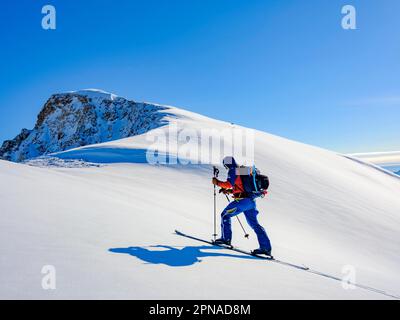 Ski alpiniste sur le ski, Tasiilaq, île d'Ammassalik, Kommuneqarfik Sermersoq, est du Groenland, Groenland Banque D'Images