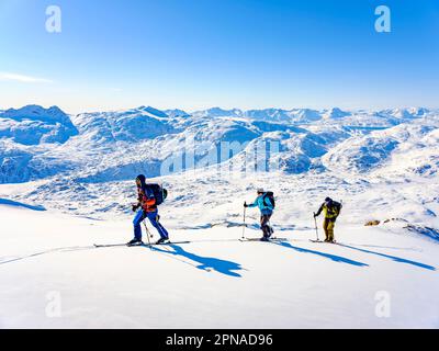 Ski alpiniste sur le ski, Tasiilaq, île d'Ammassalik, Kommuneqarfik Sermersoq, est du Groenland, Groenland Banque D'Images