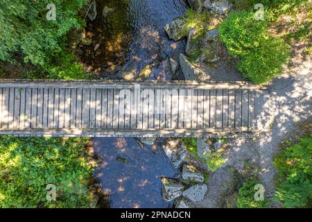 Vue aérienne d'un pont en bois sur une petite rivière dans la forêt sur le sentier de randonnée Sprollenhaeuser Hut, Bad Wildbad, Forêt Noire, Allemagne Banque D'Images