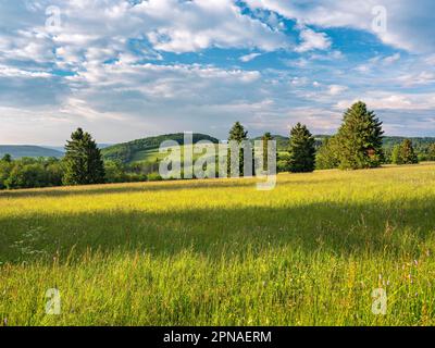 Paysage typique de la réserve de biosphère de Rhoen avec prairie humide, Bischofsheim dans le Rhode, Basse-Franconie, Rhoen, Bavière, Allemagne Banque D'Images