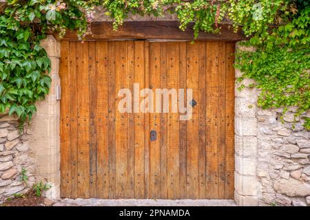 Portes d'entrée en bois doubles rustiques dans un mur extérieur en pierre, encadrées de vignes grimpantes, en Provence, France. Banque D'Images