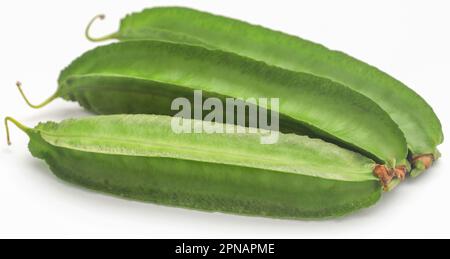 Haricots blancs frais récoltés sur fond blanc Banque D'Images