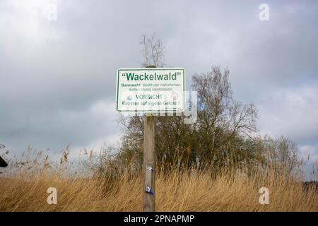 Wackelwald, une forêt où le sol se déplace lorsque vous le traversez, au lac Federsee Banque D'Images