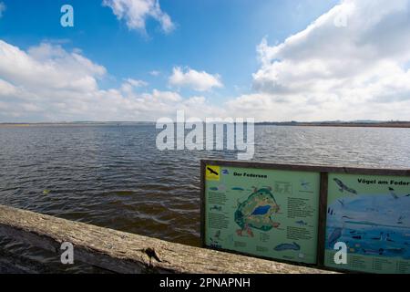 Promenade avec carte autour du Federsee, patrimoine mondial de l'unesco, Bad Buchau Banque D'Images