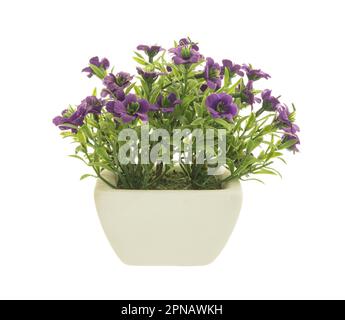 Pétunia violet décoratif dans un pot de fleurs isolé sur fond blanc. Banque D'Images