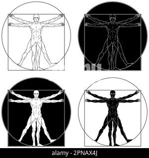 Dessin vectoriel de style caricature homme de Vitruvian, Etude des proportions idéales du corps humain, canon de proportions humaines Illustration de Vecteur