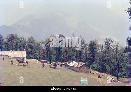 Dakoli est un petit village/hameau de Chaupal Tehsil, dans le district de Shimla, dans l'État de l'Himachal Pradesh, en Inde. Il vient sous Dhakoli Panchayath. Banque D'Images