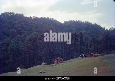 Dakoli est un petit village/hameau de Chaupal Tehsil, dans le district de Shimla, dans l'État de l'Himachal Pradesh, en Inde. Il vient sous Dhakoli Panchayath. Banque D'Images