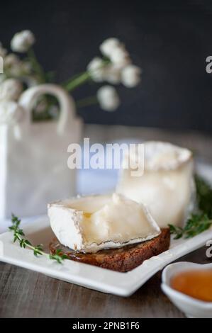 Le fromage de chèvre est utile des agriculteurs russes. Le fromage est servi avec du miel. Banque D'Images