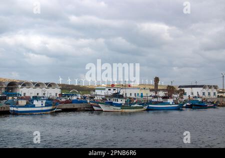 Port de Sidi Daoud : un havre de pêche à Nabeul, Tunisie Banque D'Images