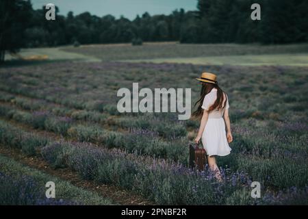 Vue arrière d'une femme non reconnaissable en robe blanche et chapeau portant une valise tout en se promenant le long de la campagne champ de lavande dans une nature étonnante pendant Banque D'Images