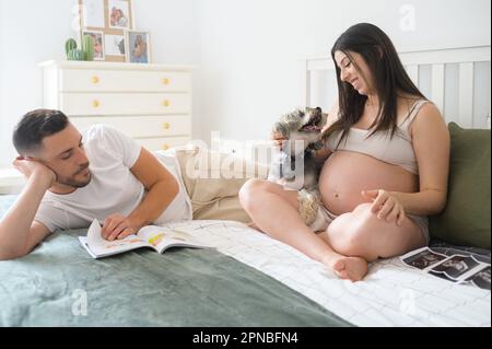 Femme enceinte souriante assise avec des jambes croisées et un chien d'animal de compagnie près de l'homme lisant le livre pendant le temps libre dans la chambre Banque D'Images