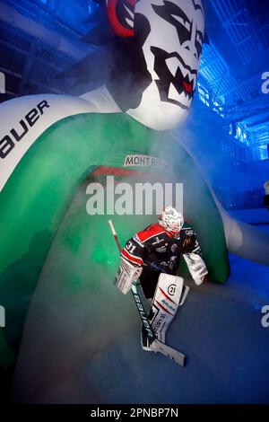 Les joueurs entrent dans la glace avant le match de hockey sur glace. Équipe HC Mont-blanc. Saint-Gervais. France. Banque D'Images