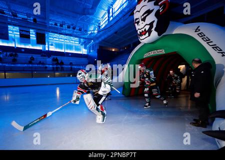 Les joueurs entrent dans la glace avant le match de hockey sur glace. Équipe HC Mont-blanc. Saint-Gervais. France. Banque D'Images