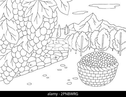 Vigne coloriage graphique noir blanc paysage dessin illustration vecteur Illustration de Vecteur