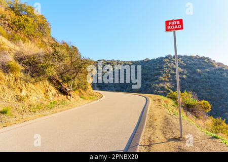 Panneau de signalisation routière installé sur le bord de la route avant un virage serré avec un ciel bleu époustouflant et la forêt luxuriante de Californie en arrière-plan. Banque D'Images