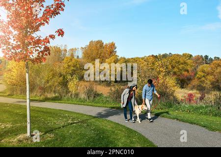 Elle apprécie ses promenades quotidiennes. un jeune couple aimant qui prend son chien pour une promenade dans le parc. Banque D'Images