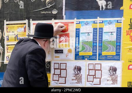 Un vieil homme hassidique avec un long peyus blanc lit des affiches publicitaires qui sont principalement dans Yiddish avec un peu d'anglais et d'hébreu. À Brookklyn, New York. Banque D'Images