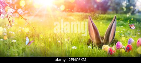 Pâques - oreilles lapin caché dans trou sur l'herbe de champ avec des œufs et des lumières évocacées abstraites Banque D'Images