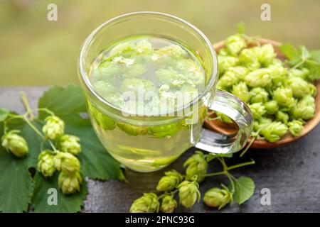 Boisson à base de thé à base de plantes à base d'Humulus lupulus, le houblon commun ou le houblon. Houblon fleurs avec tasse de thé sur fond de bois blanc, à l'intérieur de la maison. Banque D'Images