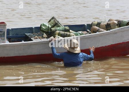 Île de Marajo, Brésil. 17th avril 2023. Le pêcheur Chico utilise des bouteilles en plastique pour les crevettes sur la plage de Vila do Pesqueiro à 17 avril 2023 à souris, dans la région amazonienne de l'île de Marajó, au nord du Brésil. L'île de Marajó est la plus grande île marine fluviale du monde, avec une superficie d'environ 40,100 km², située dans l'État de Para, à l'embouchure de l'Amazone. (Photo de Paulo Amorim/Sipa USA) Credit: SIPA USA/Alay Live News Banque D'Images