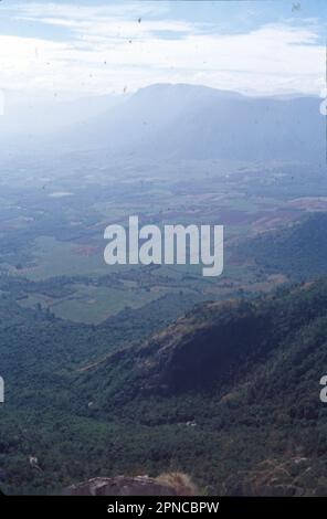 Munnar est une ville de la chaîne de montagnes des Ghats occidentaux dans l’État indien du Kerala. Ancienne station balnéaire de l'élite britannique Raj, elle est entourée de collines parsemées de plantations de thé établies à la fin du 19th siècle. Le parc national d'Eravikulam, un habitat pour la chèvre de montagne en voie de disparition Nilgiri tahr, abrite les chutes d'eau de Lakam, des sentiers de randonnée et le pic d'Anamudi de 2 695m. Banque D'Images