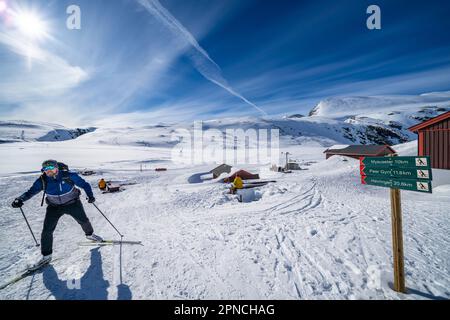 Skieur arrivant à DNT Rondvassbu Lodge hébergement dans le parc national de Rondane, Norvège Banque D'Images