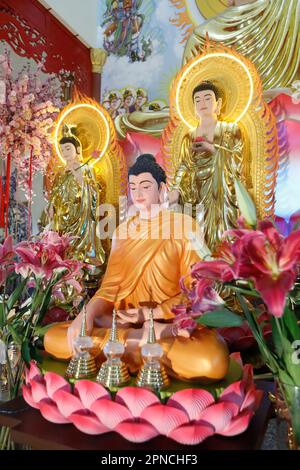 Temple bouddhiste de Phu son Tu. Autel principal. Statue de Bouddha Shakyamuni. Chau Havane. Vietnam. Banque D'Images