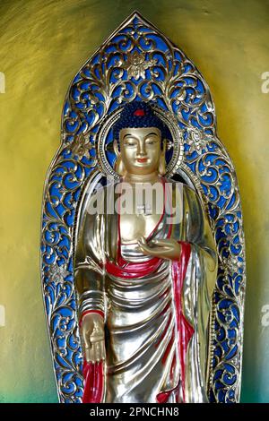 Temple bouddhiste de Phat Quang. Siddhartha Gautama, le Bouddha Shakyamuni. Chau Doc. Vietnam. Banque D'Images