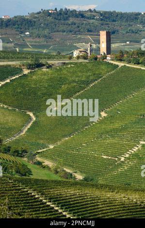Barbarresco, autour de la ville une belle mais faite par l'homme des terres caractérisées par des vignobles, est le Langa, Cuneo, Piémont, Italie, Europe, UNESCO, Heri mondial Banque D'Images