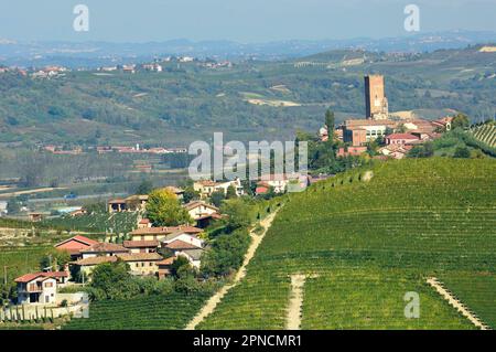 Barbarresco, autour de la ville une belle mais faite par l'homme des terres caractérisées par des vignobles, est le Langa, Cuneo, Piémont, Italie, Europe, UNESCO, Heri mondial Banque D'Images