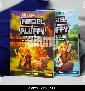 Deux DVD sont disposés côte à côte sur un canapé Banque D'Images