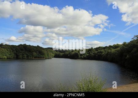 Réservoirs Roddlesworth Roddlesworth Lancashire Angleterre Banque D'Images