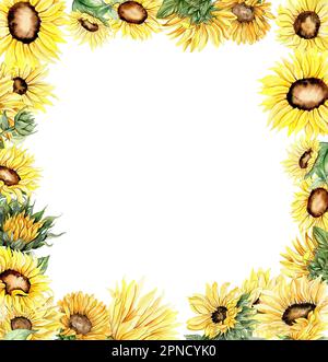 Aquarelle jardin de printemps dessiné à la main plein de tournesols cadre carré . Illustration aquarelle pour la scrapbooking.dessin animé à la main avec le flux Banque D'Images