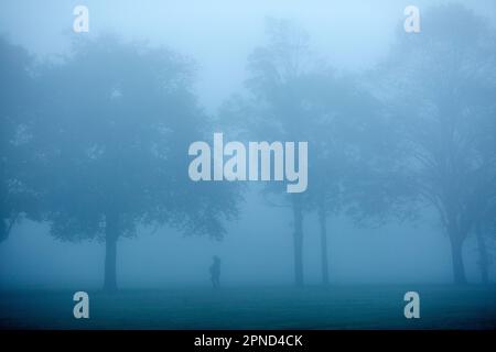 Un piéton marche dans un brouillard dense dans un parc, Ilford, est de Londres, le matin. Banque D'Images