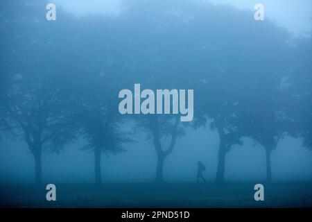 Un piéton marche dans un brouillard dense dans un parc, Ilford, est de Londres, le matin. Banque D'Images