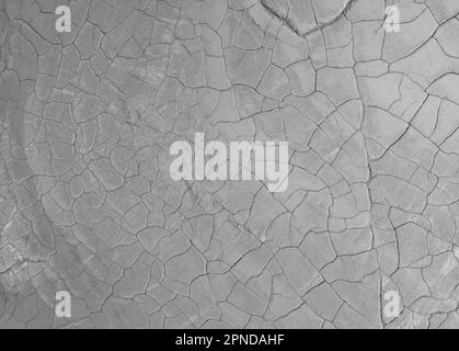 La structure de la terre mouillée fissurée au fond du lac, créant des patrons, structure, arrière-plan irréguliers. Des formes étonnantes créées par la nature à Banque D'Images