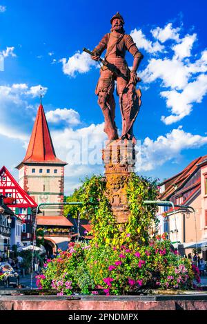 Gengenbach, Allemagne. La fontaine Rohrbrunnen, construite en 1587, est entourée de charmants bâtiments à pans de bois et de fleurs colorées. Fores noires Banque D'Images