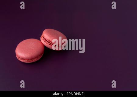 Deux macarons roses sur fond violet foncé Banque D'Images