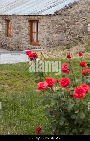 Un détail de la première maison et du musée Gaiman, Chubut, Patagonie, Argentine. Banque D'Images