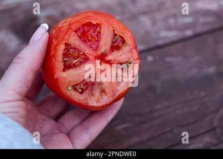 Des graines de tomate germent à l'intérieur d'une tomate mûre. Banque D'Images