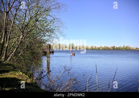 Des poteaux en bois et un bateau amarré avec des pêcheurs sur elle à côté du bord du lac dans une forêt par une journée ensoleillée Banque D'Images