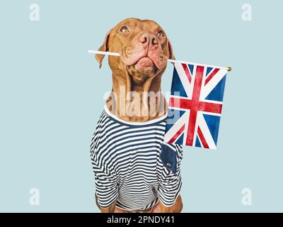 Adorable chien adorable et drapeau britannique. Gros plan Banque D'Images