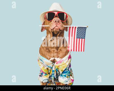 Charmant chiot brun, chapeau de soleil et drapeau américain Banque D'Images